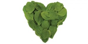 Spinach-Greens-Heart-9123108a